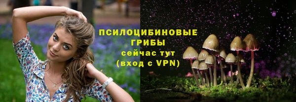 ешки Армянск