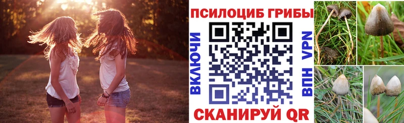 Галлюциногенные грибы Psilocybe  Купить  Закаменск 